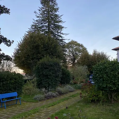 La Casa Del Bosco * Rocca Di Papa